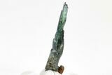 Gemmy, Emerald-Green Vivianite Crystal - Brazil #208702-1